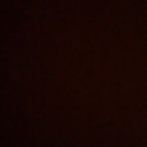 Meet your Posher, Tamia